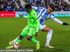 勒沃库森30场不败